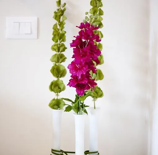 Il Giardino Bed & Breakfast 4*